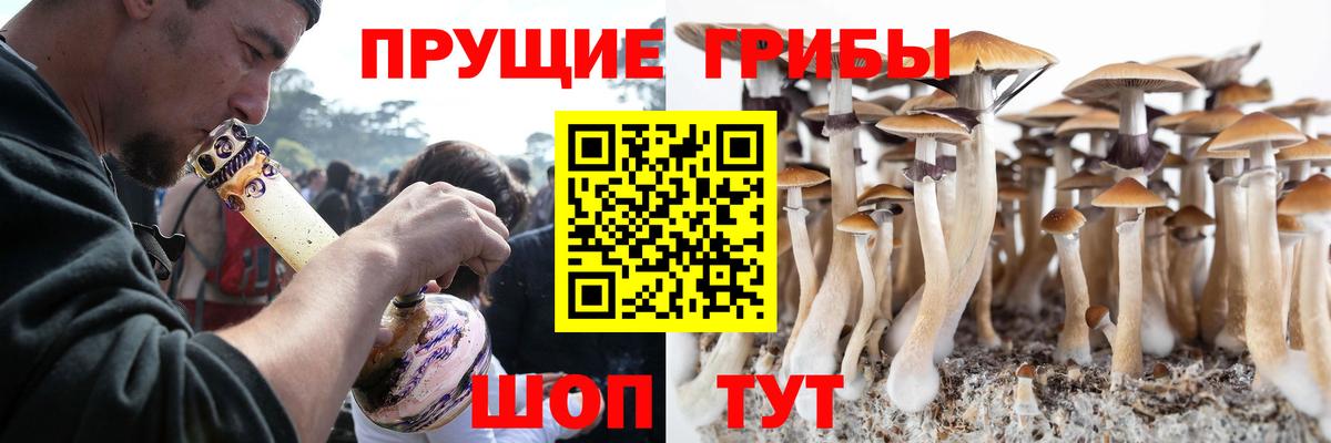 Псилоцибиновые грибы мицелий Выборг