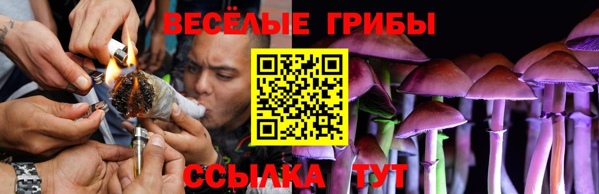 Выборг  Галлюциногенные грибы MAGIC MUSHROOMS  Вход с VPN  Галлюциногенные грибы MAGIC MUSHROOMS 