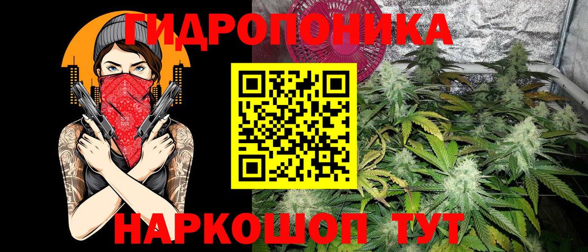 Выборг  Бошки марихуана марихуана  Конопля MAZAR  Вход с VPN  Бошки марихуана гибрид  Шишки марихуана план 